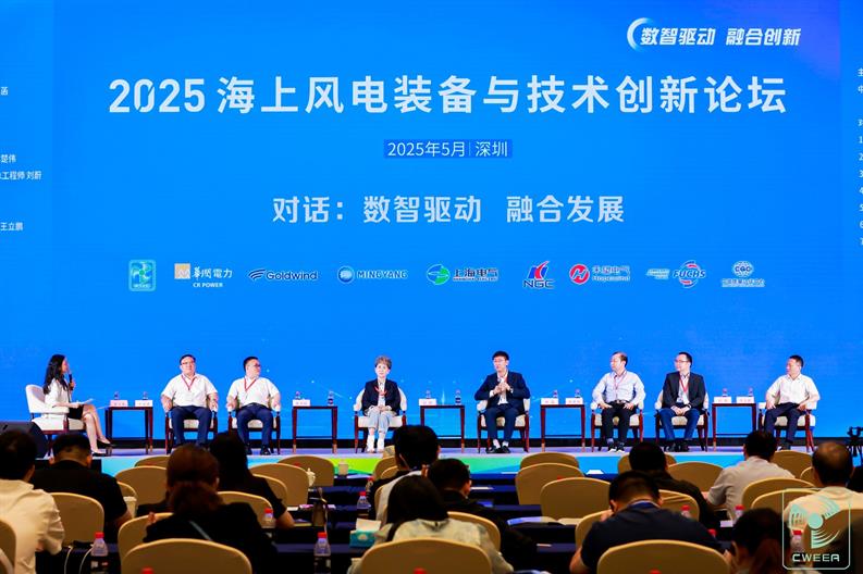 202505301033531274